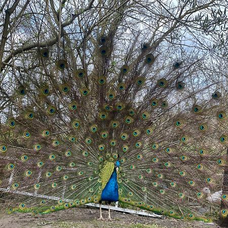 Agro Na Wapniarni Villa Biala  Kültér fotó