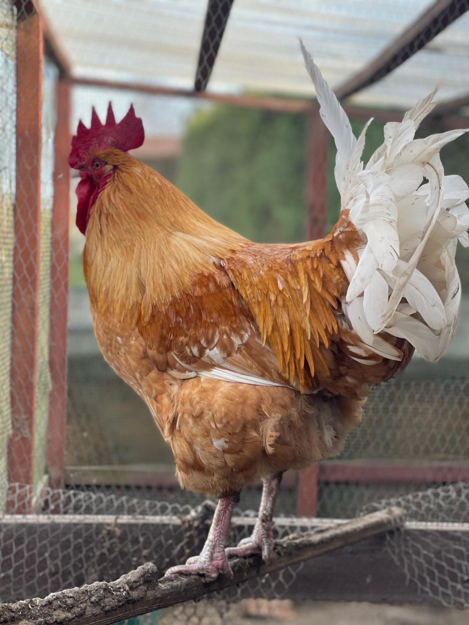 Agro Na Wapniarni Villa Biala  Kültér fotó